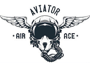 Meet your Posher, Robbie